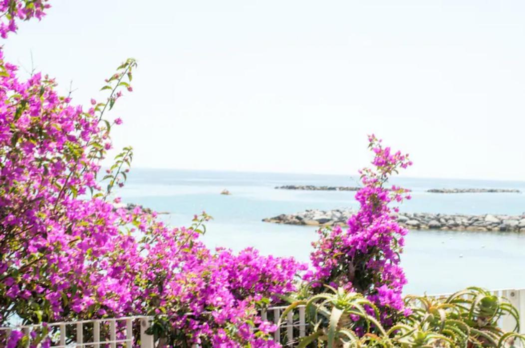 Rosa Centralissimo Sanremo Luaran gambar